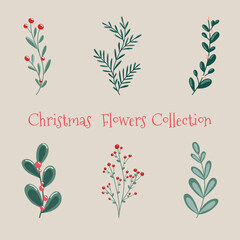 Christmas floral collection with winter decorative plants and flowers. Cute hand drawn in Scandinavian style.