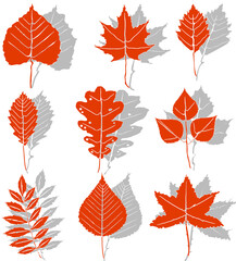 Naklejka premium A set of orange autumn leaves isolated on a white background with gray shadows. Different types of autumn leaves, made in the same style. Simple flat style, vector illustration.