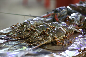 lobster sea fish on metal plate, ready to cook.