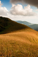 Hiking on the golden lawn on the mountain peak.
