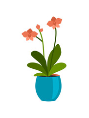 Blooming houseplant in pot. Red petals with oval green leaves. Stylish interior blue flowerpot. Bright home decoration. Natural atmosphere of modern indoor style. Vector cartoon illustration