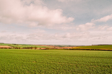 Fototapeta na wymiar Yorkshire Wolds near Kirby Grindalythe