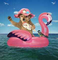 A beige dog in a pink straw hat with ice cream is floating on an inflatable flamingo in the sea at...