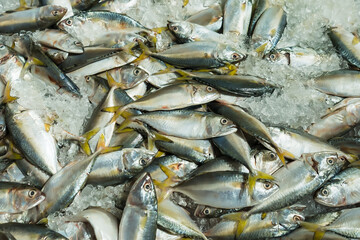 Fresh fish on ice display in a supermarket.