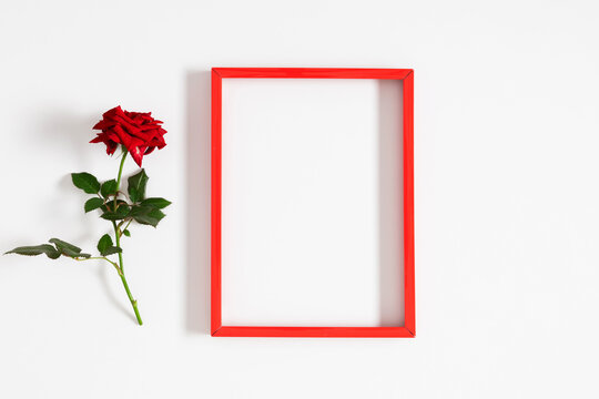 Red rose and photo frame on white background. Flat lay, top view, copy space