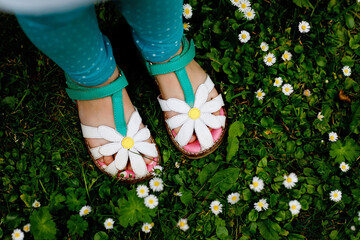 Close-up of summer shoes for little girl with daisy flowers. Child on green grass with daisies.