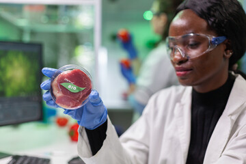 Chemist analyzing plant based beef substitute for vegetarien people typing biochemistry medical...