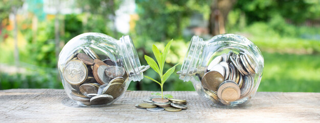 Plant growing from coins outside of two glass jars on blurred green natural background