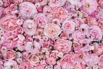 Wall murals Delicate blooming festive light roses on pink background, blossoming flowers soft pastel frame, bouquet floral card