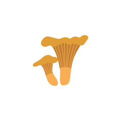 Vector color hand drawn flat illustration of Chanterelle mushroom. Isolated on white background. Autumn forest harvest