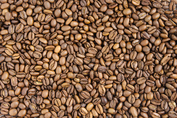 焙煎したコーヒー豆、ゲイシャ種