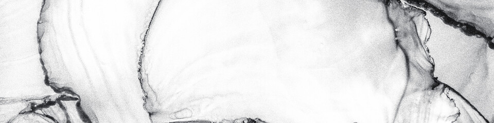 Obraz premium Metallic Ink Fluid. Black Feminine Pattern. White