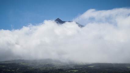 The landscape of Pico Island in the Azores
