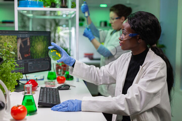 African pharmaceutical researcher analyzing solution test from petri dish for developing medical...