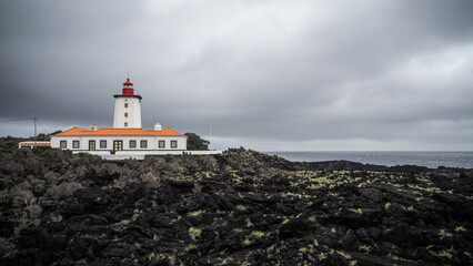 Fototapeta na wymiar The landscape of Pico Island in the Azores