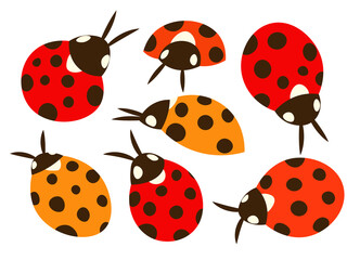 Ladybug beetle insect isolated flat set illustrations