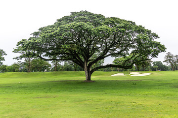 Fototapeta na wymiar beautiful landscape at golf course