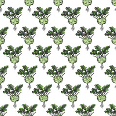 Kohlrabi cabbage hand drawn background seamless pattern. Vintage print vector