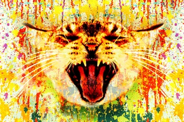 Foto op Canvas cat head with creative abstract elements on dark background © reznik_val