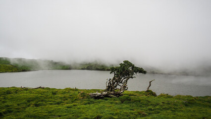 The landscape of Pico Island in the Azores