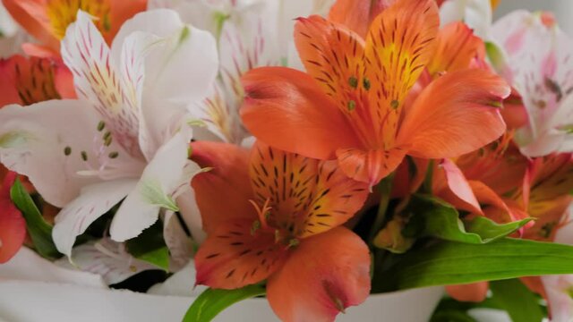 Large beautiful bouquet of orange and white alstroemeria or peruvian lilies flowers on rotating surface - close up. Floral, romantic, botanical, natural and gift concept