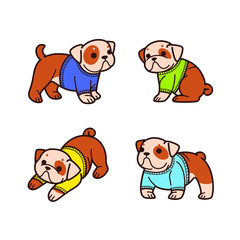Cartoon dog with pullover. Different poses of bulldog. Vector illustration for prints, clothing, packaging, stickers.