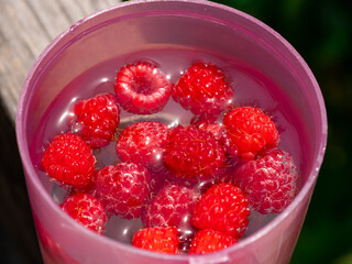 Raspberry tea with fresh berries in pink cup on balcony sunny day. Berries healthy summer herbal drink mug. Fruits natural vitamin vegan diet vitamin breakfast.Gardening local food backyard growing