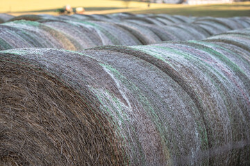Close up of round bales wrapped in netting