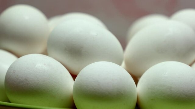 Rotating White Chicken Eggs In A Green Plate On A Pink Background. Close-up.