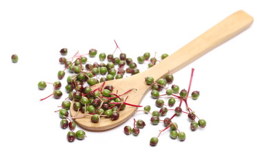 Fototapeta premium Unripe elderberries, elder plant berries with wooden spoon isolated on white background