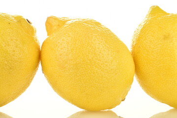Three yellow organic lemons, close-up, isolated on white.