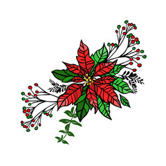 Poinsettia. Christmas star flower. Vector illustration