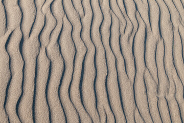 Beautiful sea sand background in the evening sun. Sand texture
