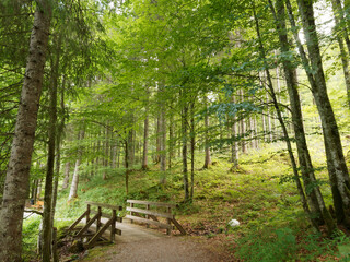 Die Suttensee und Sutten Feuchgebiet durch das idyllische Rottachtal. Der Weg um den Wald am...