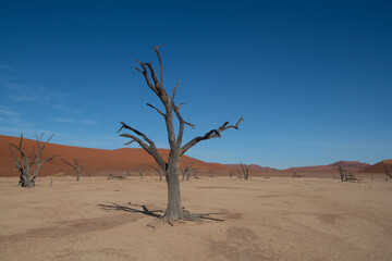 Dead Valley Sossusvlei Namibia