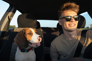 Young man and a beagle dog sit in the front seat of a car. Commuting or travelling with pets, lifestyle with dog