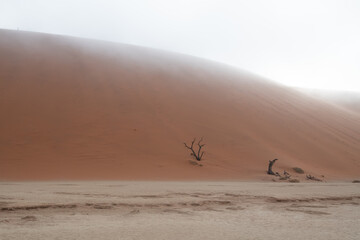 Dead Valley Sossusvlei Namibia