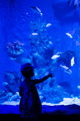 Child is looking at fishes in oceanarium. Toddler girl enjoying underwater life in big Aquarium in...