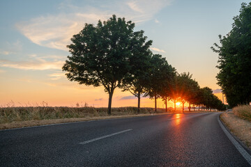 Asphalt road and a line of trees during sunset