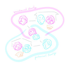 家族の系譜（三世帯）