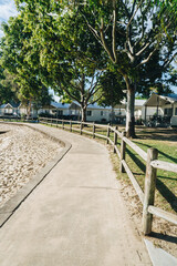 Fototapeta premium Path near the Tallebudgera creek campsite in palm beach