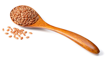 raw short-grain brown rice in the wooden spoon, isolated on white background