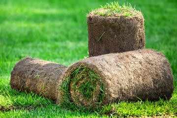 Three rolls of lawn grass in the backyard on a sunny day. Ready grass for laying, landscaping near the cottage.
