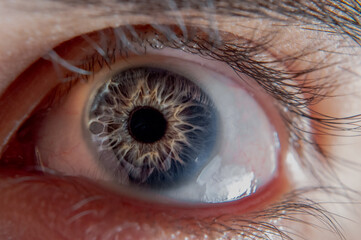 close up of an eye