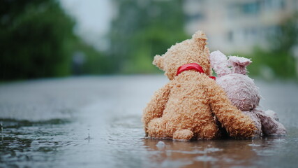 Faithful friends - a bunny and a bear cub sit side by side on the road, wet under the pouring rain....