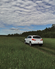 Fototapeta na wymiar White car stands on the road in a green field in summer