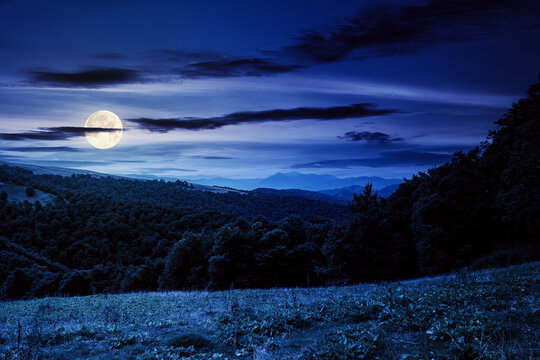 countryside landscape of carpathians at night. green meadow under dark sky in full moon light. trees on the hill