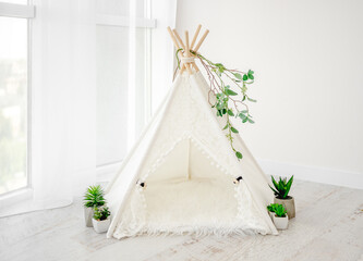 Hut decoration for newborn photosession © tan4ikk
