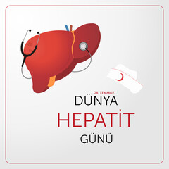D&uuml;nya hepatit g&uuml;n&uuml;. Translate: World hepatitis day, with stethescope,  liver. Vector illustration.