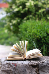 Open book in a garden. Selective focus.